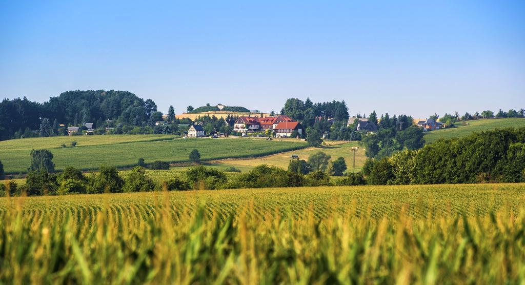 Neue Hoehe